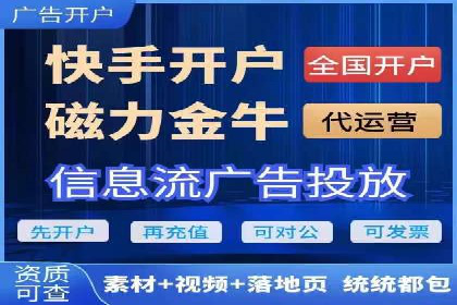 百度推广的投放策略与效果分析